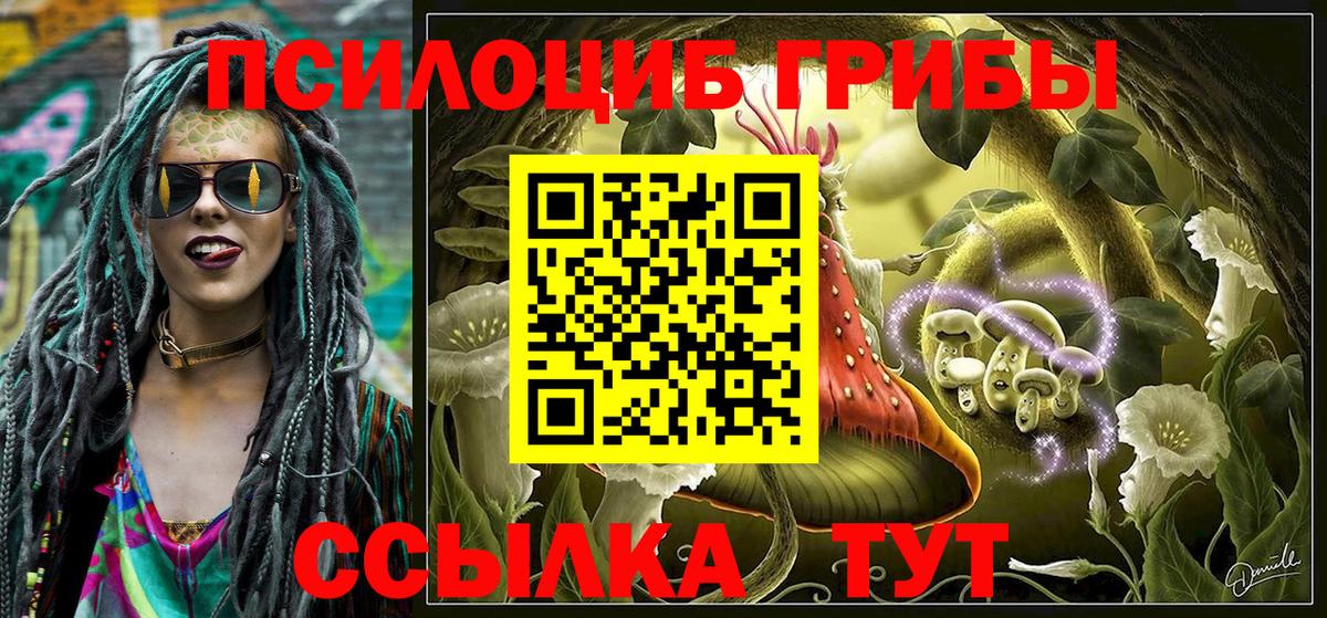 как найти закладки  Галлюциногенные грибы ЛСД  Вход с VPN  Борзя  Псилоцибиновые грибы MAGIC MUSHROOMS 