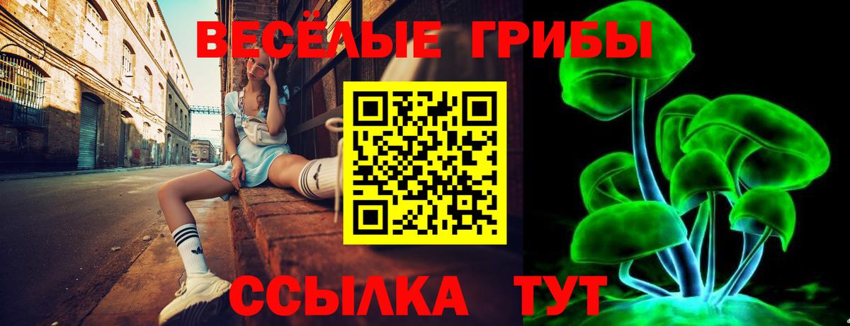 Галлюциногенные грибы ЛСД Борзя